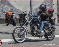 TSR Watermark - 0594